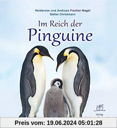 Im Reich der Pinguine
